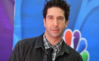 David Schwimmer